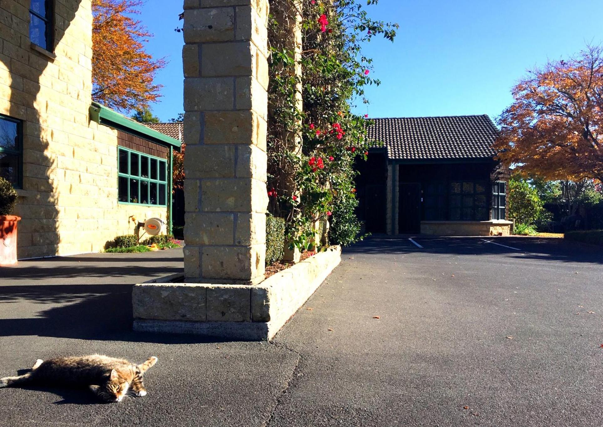Cambridge Mews Motel Екстер'єр фото
